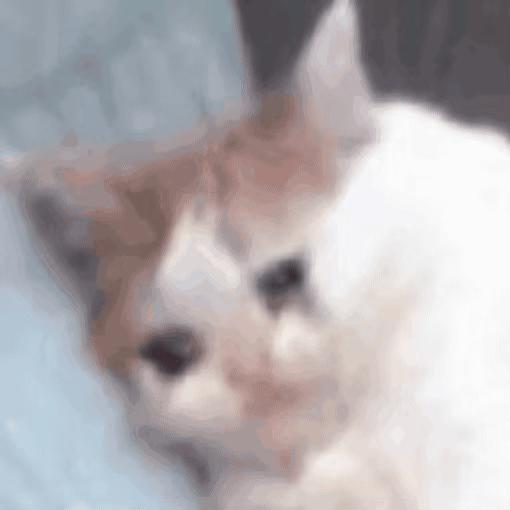 吃瓜表情包动图